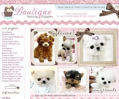 Finding Teacup Maltese Puppies for Sale - Teacup Maltese | Teacup Maltese